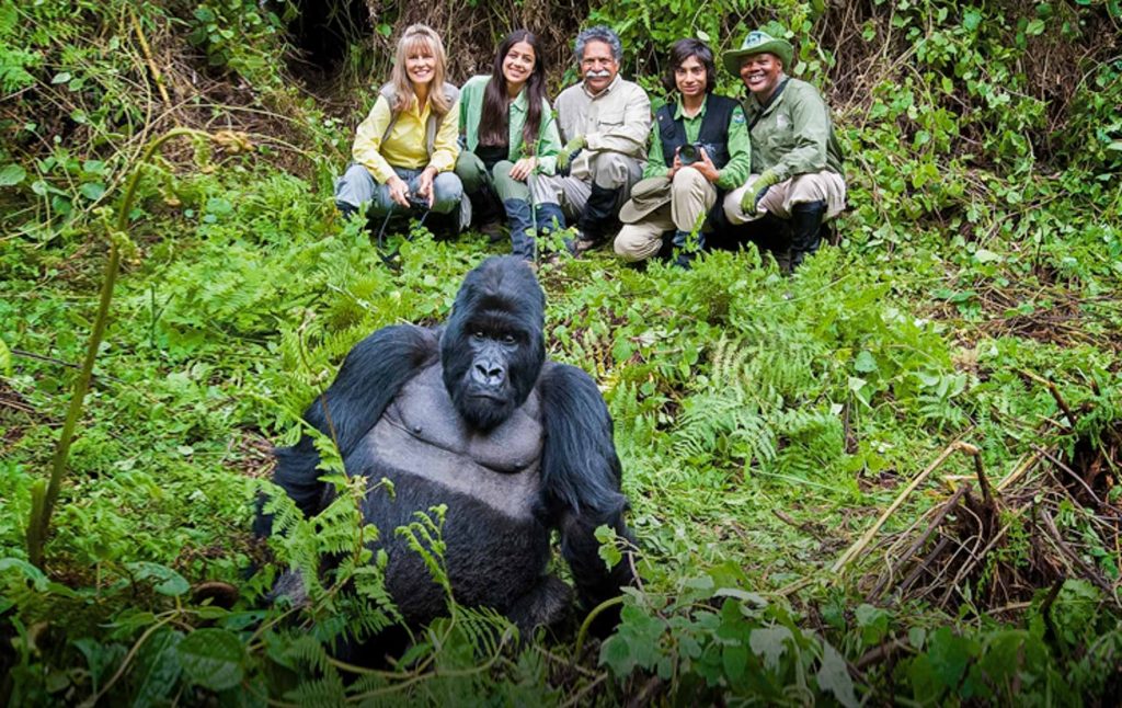 How to travel on budget on 14 Days Budget Uganda safari holiday